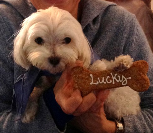 Lucky's Birthday